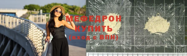 индика Заводоуковск