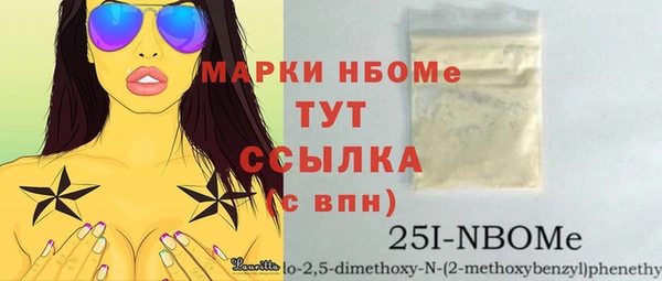 бошки Няндома