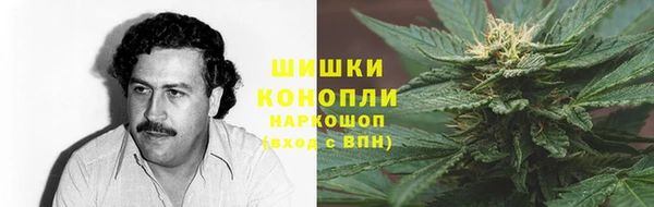 бошки Няндома