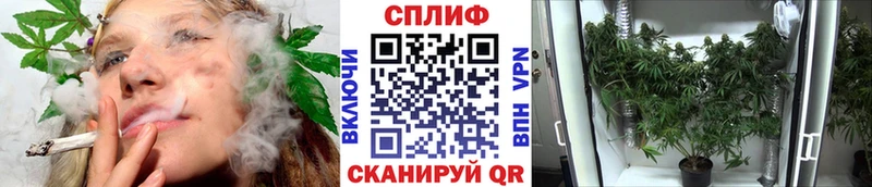 Конопля индика Кологрив